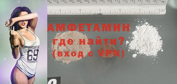 гидра Богданович
