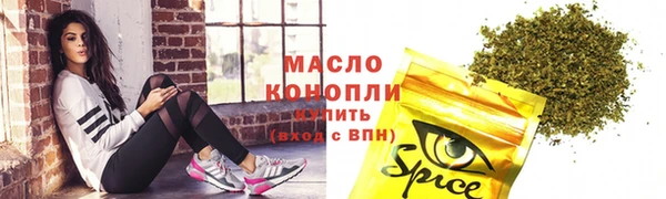 гидра Богданович