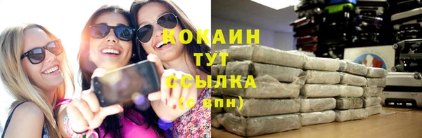 прущий лед Богородицк