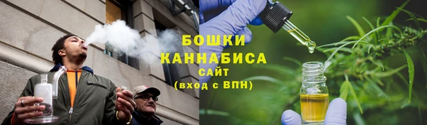 гидра Богданович