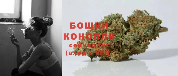 гидра Богданович