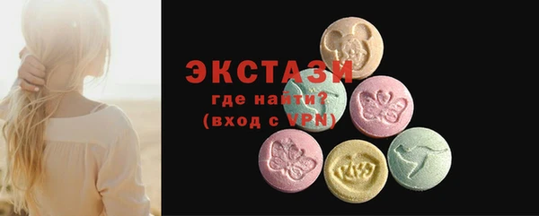 гидра Богданович
