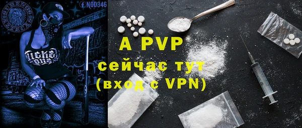гидра Богданович