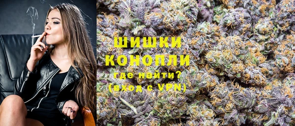 прущий лед Богородицк