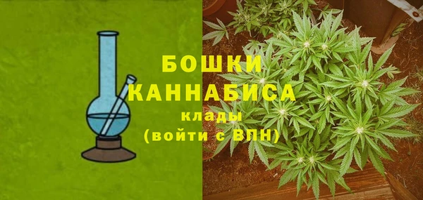 прущие грибы Россошь