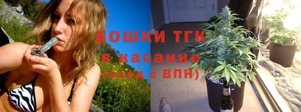 гидра Богданович