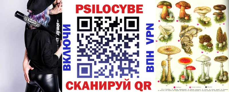 закладки  Первомайск  Псилоцибиновые грибы Cubensis 